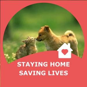 Meet your Posher, Margaret